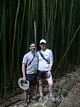 Pipiai Trail - Bamboo Forest

